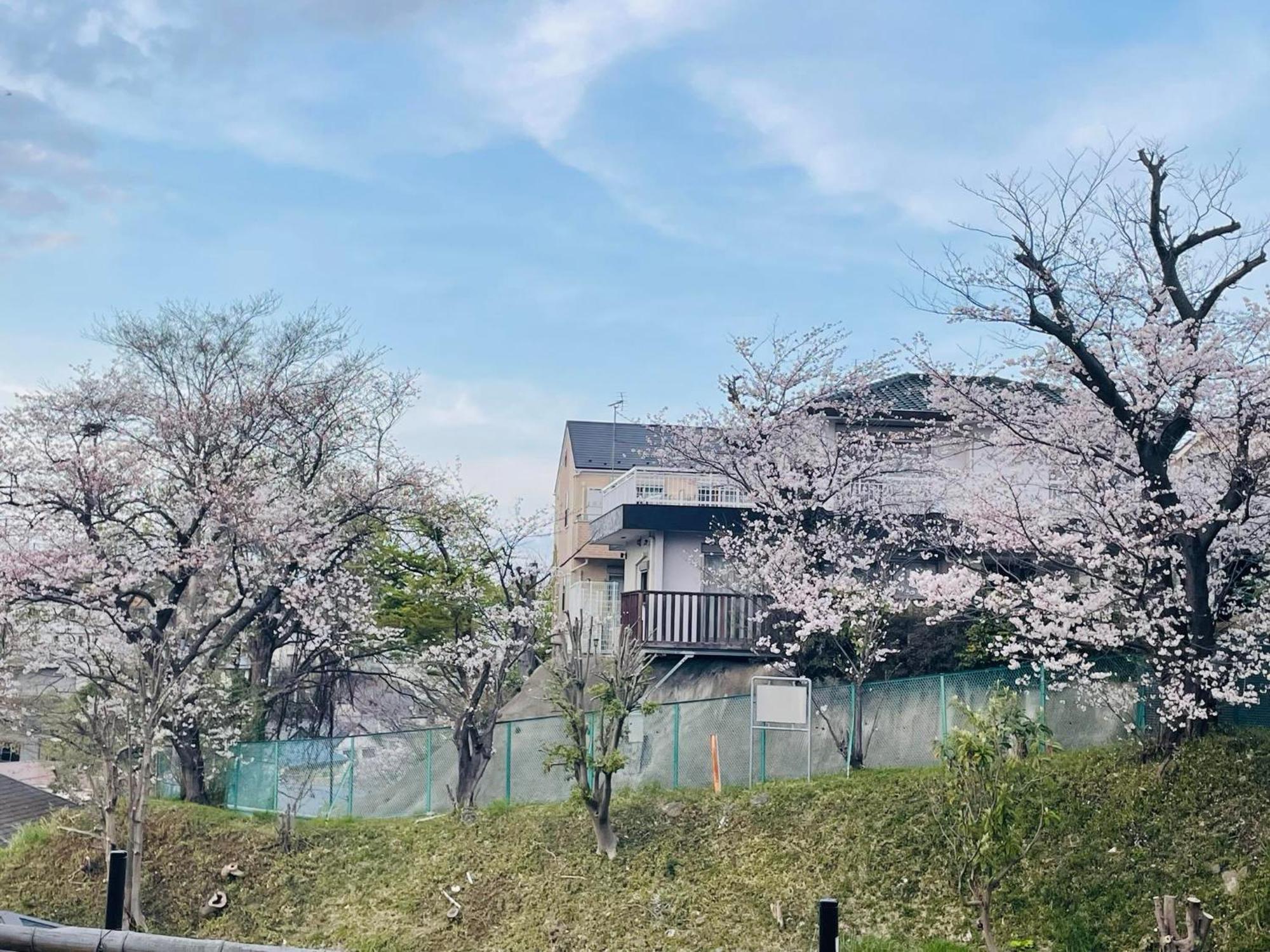 ソフィアハウス横浜 -女性専用シェアハウス- Sopfia House Yokohama For Women Only Shared House Hotel Luaran gambar